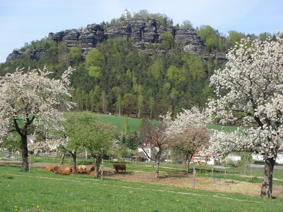 דירות Alter Gutshof Papstdorf מראה חיצוני תמונה